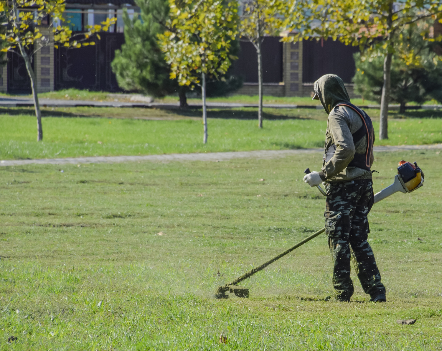 Worker Mowing the Lawn. Mowing Grass Trimmer