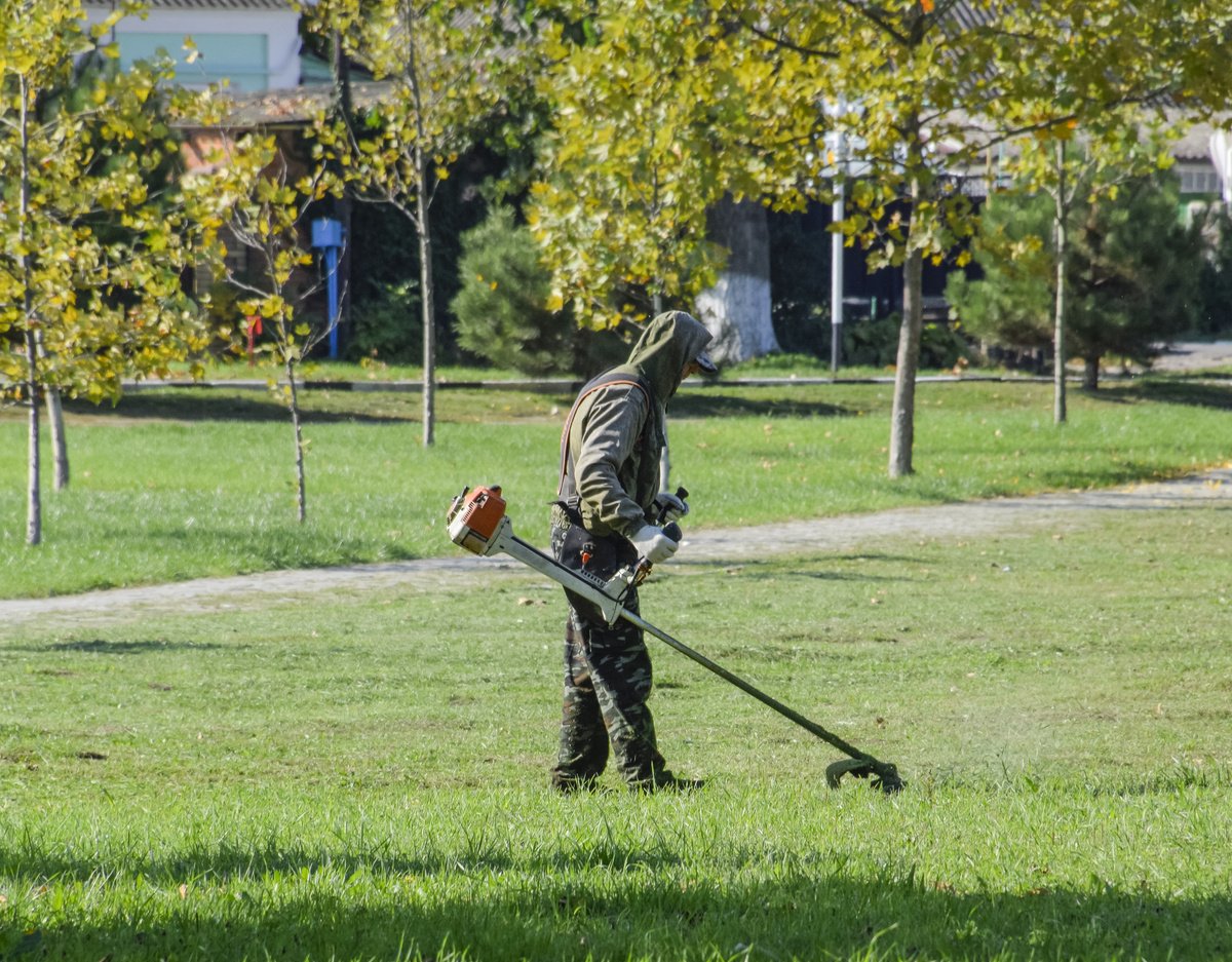 Worker mowing the lawn. Mowing grass trimmer